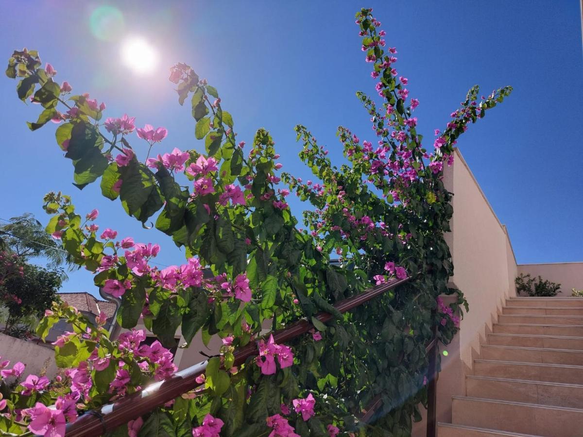 Apartments Lavanda - Free Parking And Grill Jezera Bagian luar foto